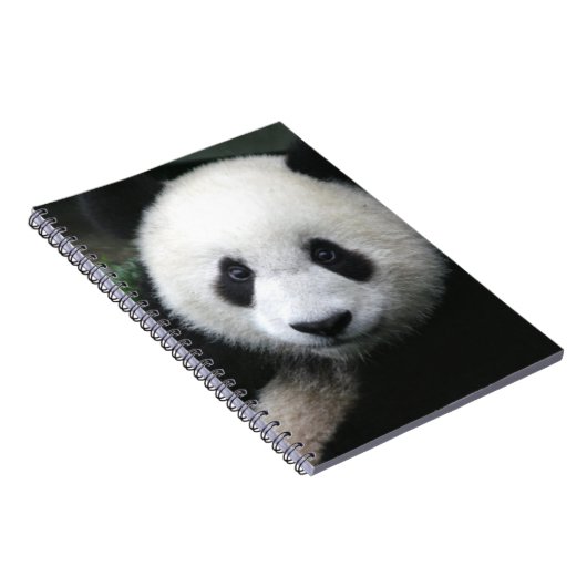 Carnet Ours souriant Panda (Côté Droit)