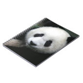 Carnet Ours souriant Panda (Côté gauche)