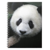 Carnet Ours souriant Panda (Devant)