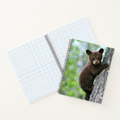 Carnet Ourson grimpant à un arbre, (Intérieur)