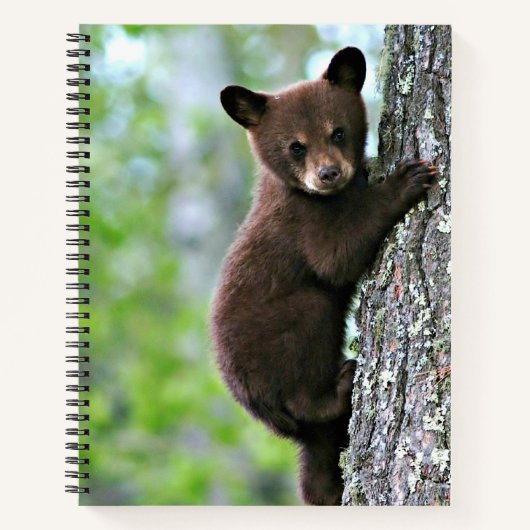 Carnet Ourson grimpant à un arbre, (Devant)