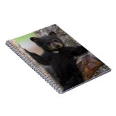 Carnet Oursons noirs ourson reposant (Côté Droit)