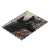 Carnet Oursons noirs ourson reposant (Côté gauche)