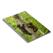 Carnet Oursons ours noir grimpant à l'arbre (Côté Droit)