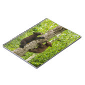 Carnet Oursons ours noir grimpant à l'arbre (Côté gauche)