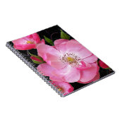 Carnet ouverture de minuscule rosebud (Côté Droit)