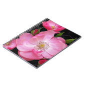 Carnet ouverture de minuscule rosebud (Côté gauche)
