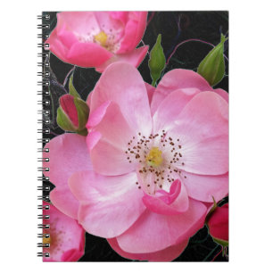 Carnet ouverture de minuscule rosebud