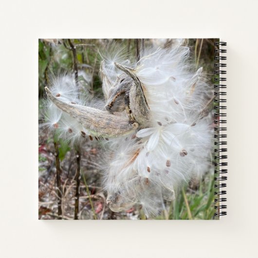 Carnet Ouvrir les pots d'algues | Graines avec soie | (Dos)