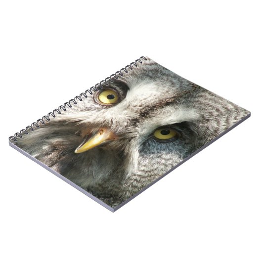 Carnet Owl Notebok (Côté gauche)