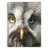 Carnet Owl Notebok (Devant)
