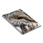 CARNET OWLS (Côté Droit)