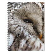 CARNET OWLS (Devant)