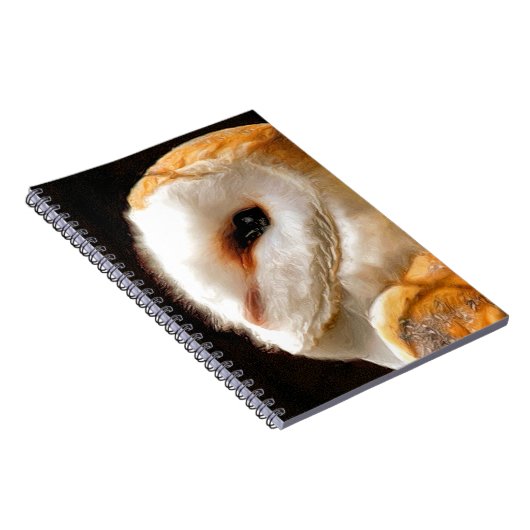 CARNET OWLS (Côté Droit)