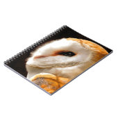 CARNET OWLS (Côté gauche)