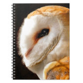 CARNET OWLS (Devant)