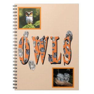 Carnet Owls Est Le Nom,