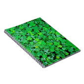 Carnet Oxalis de printemps (Côté Droit)