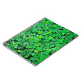 Carnet Oxalis de printemps (Côté gauche)
