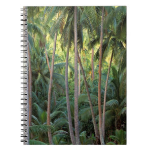 Carnet Pacifique Sud, Polynésie française, Bora Bora.