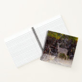 Carnet Pacifiquement... (Intérieur)