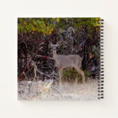 Carnet Pacifiquement... (Dos)