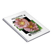 Carnet Packet Vintage de semences Hollyhock (Côté Droit)