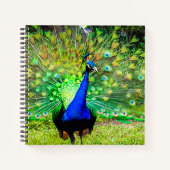 Carnet Pacock (Devant)