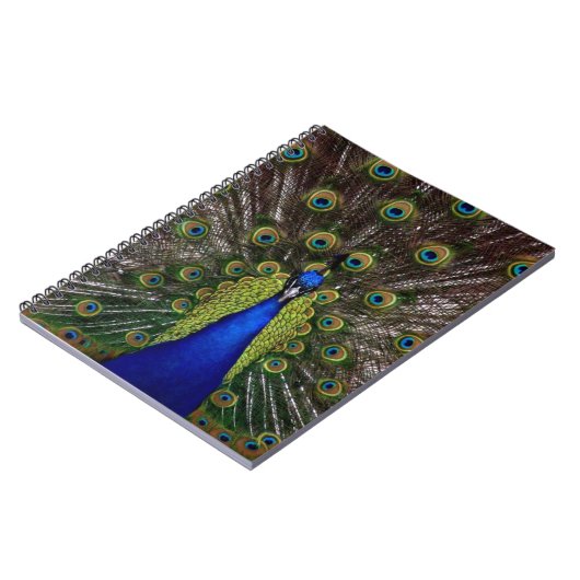 Carnet Pacock (Côté gauche)