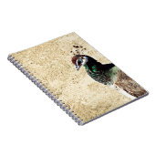 Carnet Pacock (Côté Droit)