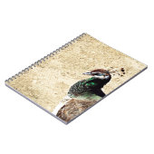 Carnet Pacock (Côté gauche)