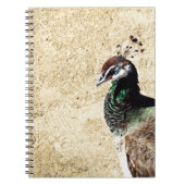 Carnet Pacock (Devant)