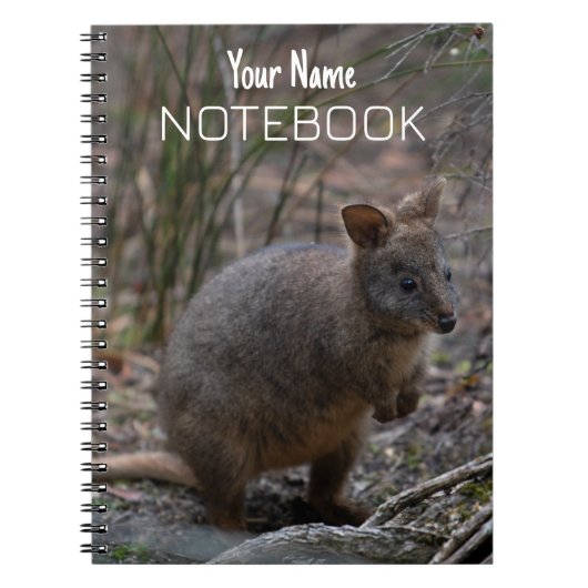 Carnet Pademelon (Devant)