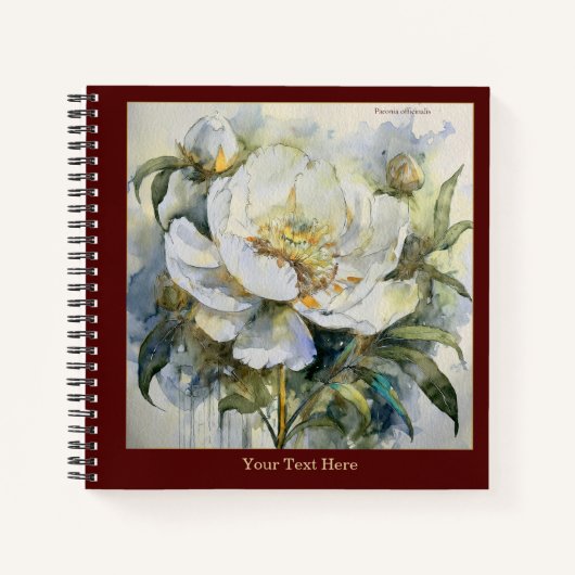 Carnet Paeonia Officinalis Aquarelle #2 (Devant)