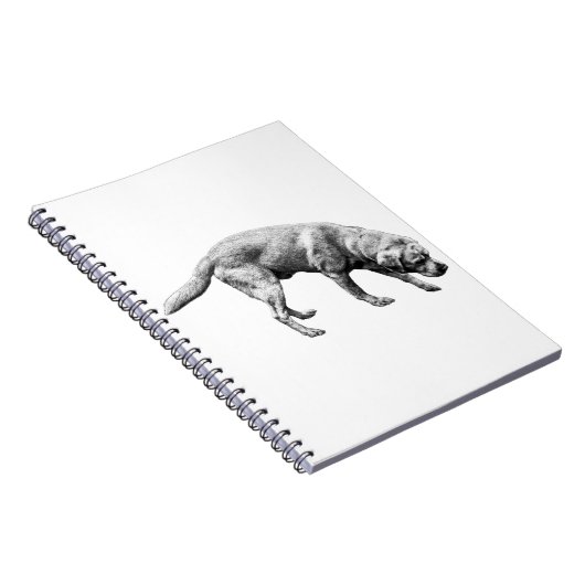 Carnet Pages de dévotion (Côté Droit)