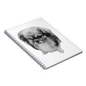 Carnet Pages de dignité (Côté Droit)