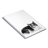Carnet Pages de douceur (Côté Droit)