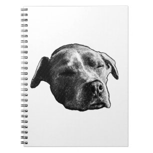 Carnet Pages Neige