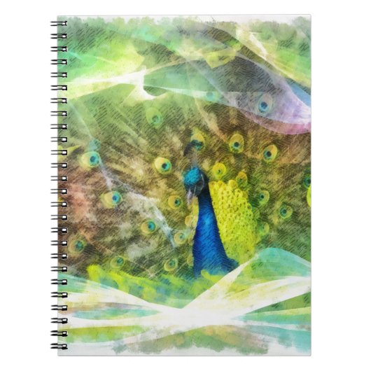 Carnet Paiement numérique de Peacock (Devant)