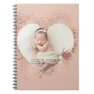 Carnet Pailleté Or Rose Statistiques de Naissance Photo N