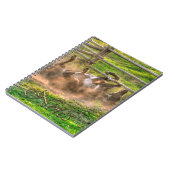 Carnet Paint Horse Rolling en Poussière Funny Equine Phot (Côté gauche)