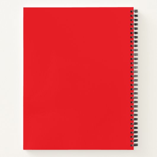 Carnet Paintbrush Spiral Notebook (Dos)