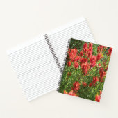 Carnet Paintbrush Spiral Notebook (Intérieur)