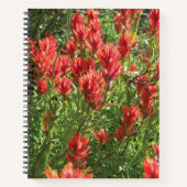 Carnet Paintbrush Spiral Notebook (Devant)