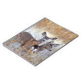 Carnet Paire de cerfs de Mule sauvage | Californie (Côté gauche)