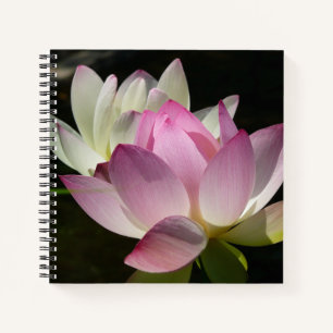 Carnet Paire de fleurs de Lotus II