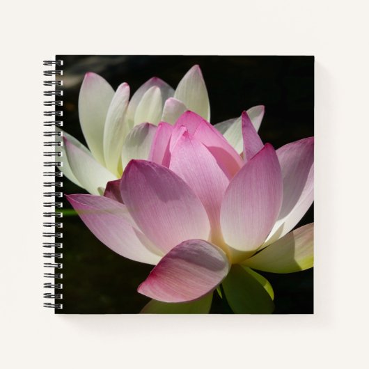 Carnet Paire de fleurs de Lotus II (Devant)