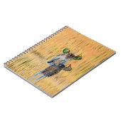 Carnet Paire de Mallards (Côté gauche)