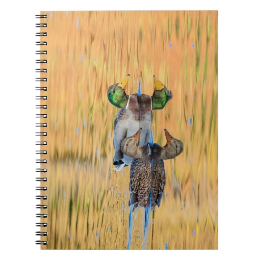 Carnet Paire de Mallards (Devant)