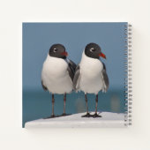 Carnet Paire de Mouettes à tête noire (Dos)